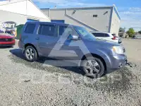 2015 Honda PILOT photo