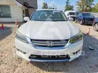 2015 Honda Accord photo