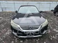 2015 Honda Accord photo