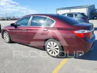 2015 Honda Accord photo