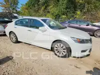 2015 Honda Accord photo
