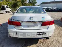 2015 Honda Accord photo