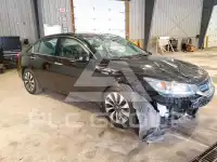 2015 Honda Accord photo