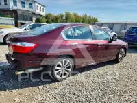 2015 Honda Accord фото