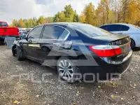 2015 Honda Accord photo