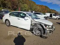 2015 Honda Accord photo