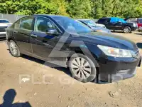 2015 Honda Accord photo