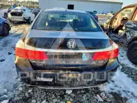 2015 Honda Accord фото