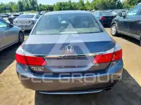 2015 Honda Accord photo