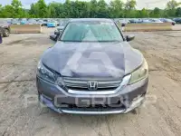 2015 Honda Accord photo