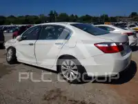 2015 Honda Accord photo