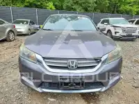 2015 Honda Accord photo