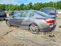 2015 Honda Accord photo