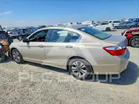 2015 Honda Accord photo