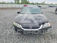 2015 Honda Accord photo