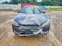 2015 Honda Accord photo