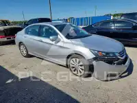2015 Honda Accord photo