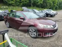 2015 Honda Accord photo