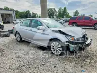 2015 Honda Accord photo