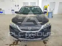 2015 Honda Accord photo