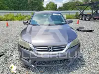 2015 Honda Accord photo