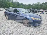 2015 Honda Accord photo