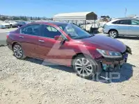 2015 Honda Accord photo