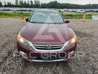 2015 Honda Accord фото