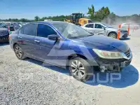 2015 Honda Accord photo