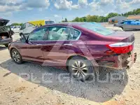 2015 Honda Accord photo