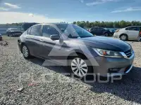 2015 Honda Accord photo