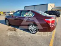 2015 Honda Accord фото