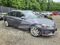 2015 Honda Accord photo