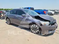 2015 Honda Accord photo