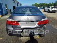 2015 Honda Accord photo