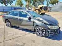 2015 Honda Accord photo
