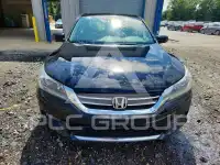 2015 Honda Accord photo
