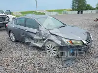 2015 Honda Accord photo