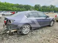 2015 Honda Accord photo