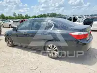 2015 Honda Accord фото