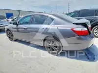 2015 Honda Accord photo