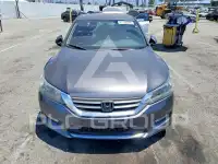2015 Honda Accord photo
