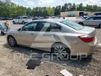 2015 Honda Accord photo