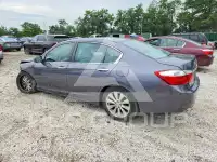 2015 Honda Accord photo