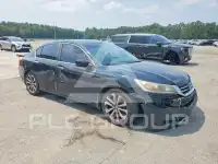 2015 Honda Accord photo