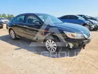 2015 Honda Accord photo