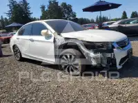 2015 Honda Accord photo