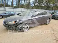 2015 Honda Accord photo