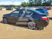 2015 Honda Accord фото