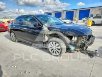 2015 Honda Accord photo